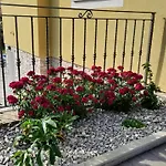 Daire Ela With Private Pool *