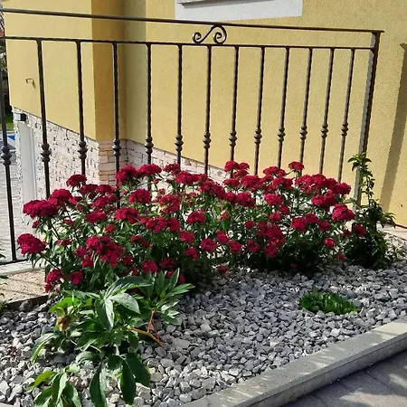 Апартаменты Ela With Private Pool *