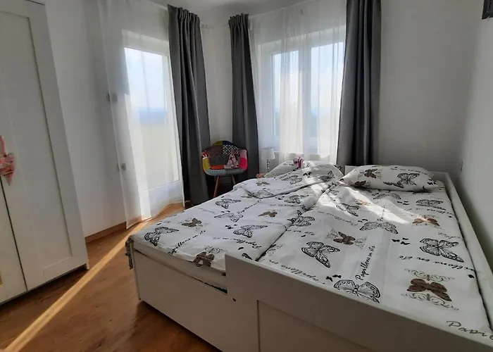 Apartment Villa Ela With Private Pool Donji Rukavac