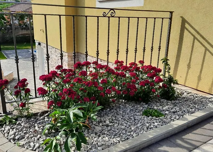 Apartment Villa Ela With Private Pool *